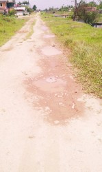 A series of potholes along the road. 