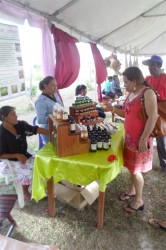 Minister of Foreign Affairs Carolyn Rodrigues-Birkett pays keen attention to the products of Medicine from Trees at the Rupununi Music and Arts Festival at Annai last month. (Photo by Nigel Mattan) 