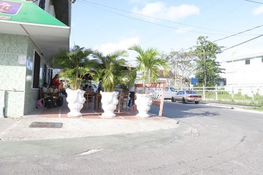 Attorney Leon Rockliffe had said that “the blind corner at Third and Albert Streets established with the unkind cooperation of city council (the paved parapet) and the Guyana Police Traffic Division-studded with a row of jardinières with tall growing vegetation.”
