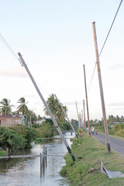 The leaning poles of Victoria: These utility poles were spotted yesterday along the Belfield trench in Victoria, East Coast Demerara. (Arian Browne photo) 