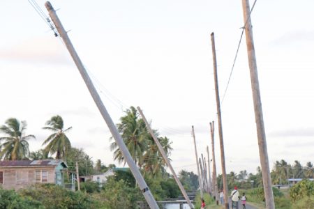 The leaning poles of Victoria: These utility poles were spotted yesterday along the Belfield trench in Victoria, East Coast Demerara. (Arian Browne photo)