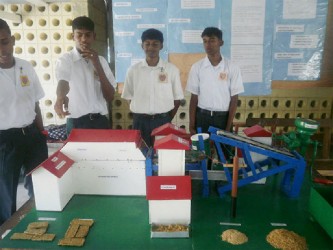 Abrams Zuil Secondary School’s exhibit ‘Recycling Paddy Husk to make wood’ 