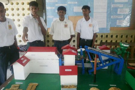 Abrams Zuil Secondary School’s exhibit ‘Recycling Paddy Husk to make wood’