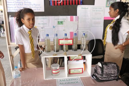 QC students explaining algenol – biofuel from algae