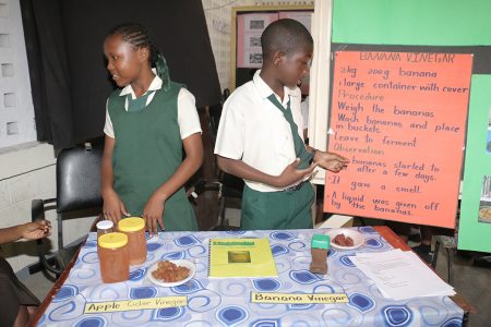 Banana vinegar from St Sidwell’s Primary being explained