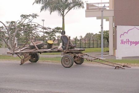 This horse cart seemed to have developed a flat tyre outside of the National Cultural Centre.  Cart man and horse seemed to have abandoned it.