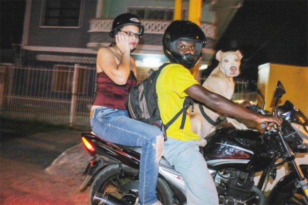 An evening ride on Sheriff Street with the dog along (Photo by Arian Browne)