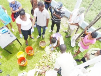 Old pots and pans can be useful in Shade house pursuits