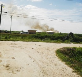 Sugarcane burning in the canefield opposite Belle Vue village