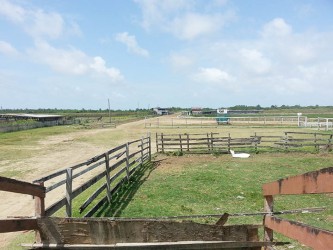 A panoramic view of the Rising Sun Turf Club