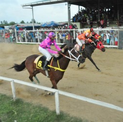 Ellle’s Vision from the K. Jagdeo Stables will Paul Delph in the stirrups crosses the line ahead of CP Got Even and California Strike. (Orlando Charles photo) 