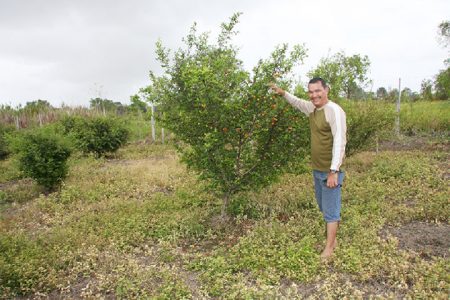 Damien Da Silva on his Parika farm