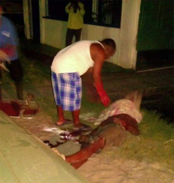  Nigel Lawson’s body being removed by an undertaker last night after he was stabbed by a guard.  