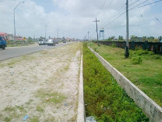 Work has not taken place on this section of the East Coast road for some time 