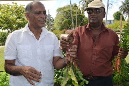 Minister of Agriculture Dr Leslie Ramsammy (left) and Dr Oudho Homenauth, NAREI’s Chief Executive Officer with the beets and carrots. (Ministry of Agriculture photo)