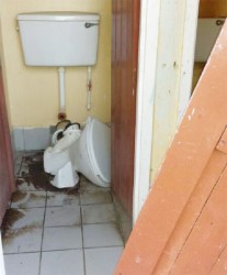The non-functioning toilet