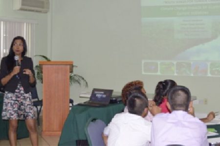 Gitanjali Chanderpal, Climate Change Specialist from the Office of Climate Change in Guyana making her presentation at the three-day 2014 VYBZING Guyana Youth Forum yesterday at the Grand Coastal Inn. (GINA photo) 
