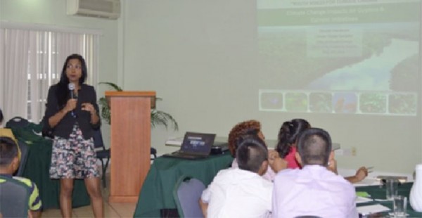 Gitanjali Chanderpal, Climate Change Specialist from the Office of Climate Change in Guyana making her presentation at the three-day 2014 VYBZING Guyana Youth Forum yesterday at the Grand Coastal Inn. (GINA photo)  