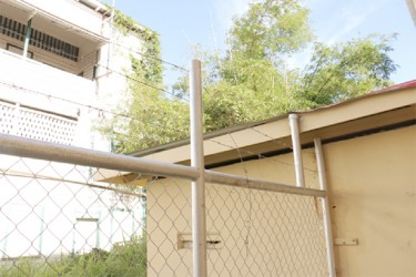 A  view of the escape route that the four fleeing prisoners took. After exiting the window on the right they jumped over the fence and ran through the alleyway. It can be noted too that a few of them might have climbed onto the zinc roofing on the washroom to the right before jumping down into the weed infested alleyway.