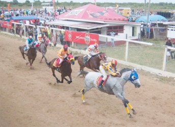 Score’s Even leading with jockey, Ajai in the stirrups shortly after the start of the feature A and Lower event of the PPP Independence Cup. (Orlando Charles photo) 