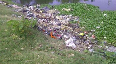 Garbage in the canal separating Good Hope from Mon Repos 