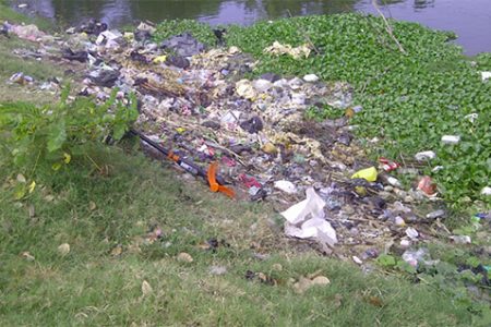 Garbage in the canal separating Good Hope from Mon Repos

