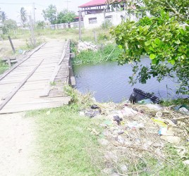 Privately built bridge surrounded by garbage over the canal separating Good Hope from Mon Repos. Residents also want this bridge repaired. 