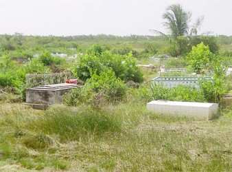 Mon Repos Cemetery covered in bush