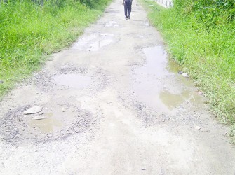 2nd Street Lusignan filled with potholes