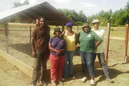 Taking a break: Members of the Mangrove Cooperative in working mode at Golden Grove last week