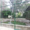 One of the many cages in the zoo (file photo)
