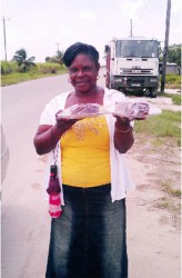 Carrying cake to an engagement party in the village