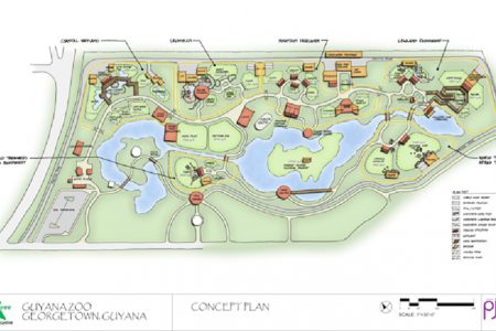The concept design for the zoo

