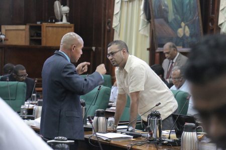 APNU Parliamentarian George Norton (left) and Minister of Natural Resources, Robert Persaud dialoguing in Parliament yesterday. 