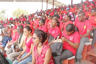 Part of the turnout yesterday at the National Park for the workers’ rally.