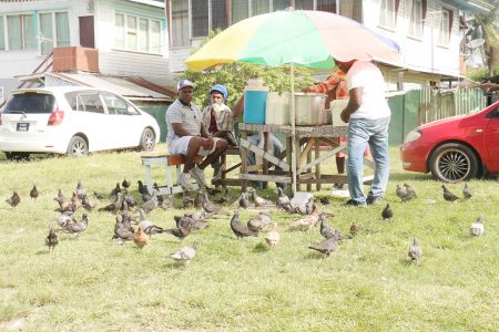 Pigeons sensed that offerings were available from this food stand along Independence Bouelvard, La Penitence today.