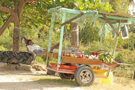 Resting in her hammock while she worked, this Victoria vendor kept an eye on her vegetable and DVD stalls yesterday.