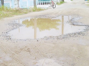 Potholed road of First Street, Grove Squatting Area 