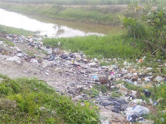 The extension of a dump site at Good Intent
