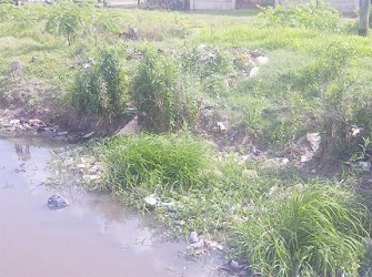 The Patentia Housing Scheme trench with bush and garbage