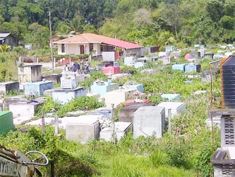 The burial ground just behind the NDC office filled with bush 