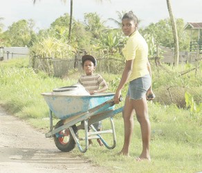 Fetching items home in a wheelbarrow