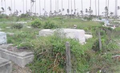 Overgrown bushes at the Le Repentir Cemetery