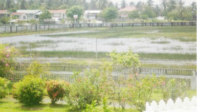 Community playground