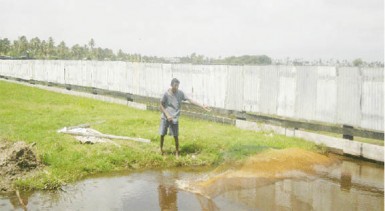 Catching hassar from a trench in the village