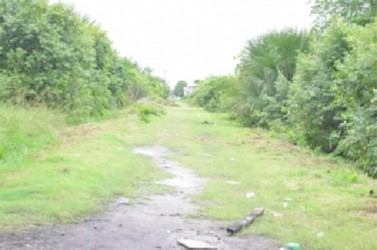 Overgrown alongside one of the dilapidated roads inside the Le Repentir Cemetery. (Government Information Agency photo) 