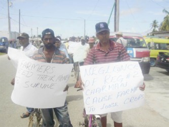 Protesting rice farmers at the Anna Regina High Bridge 