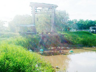 The area in Herstelling where Mahatamam Jairam’s body was discovered 