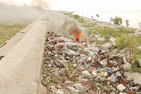 Garbage is being thrown over the seawalls at Montrose