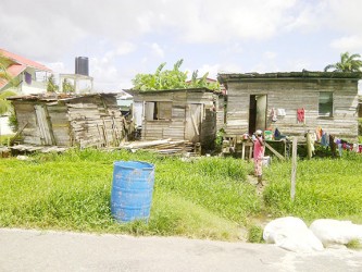 Three shacks on the edge of Swan Street, the front of the Squatting Area. The middle dwelling is the residence of Sherene Hamilton and the one on the right is the home of Stephanie Rollins.  